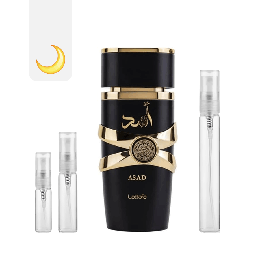 Asad Scentra Decants