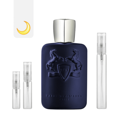 Layton Scentra Decants